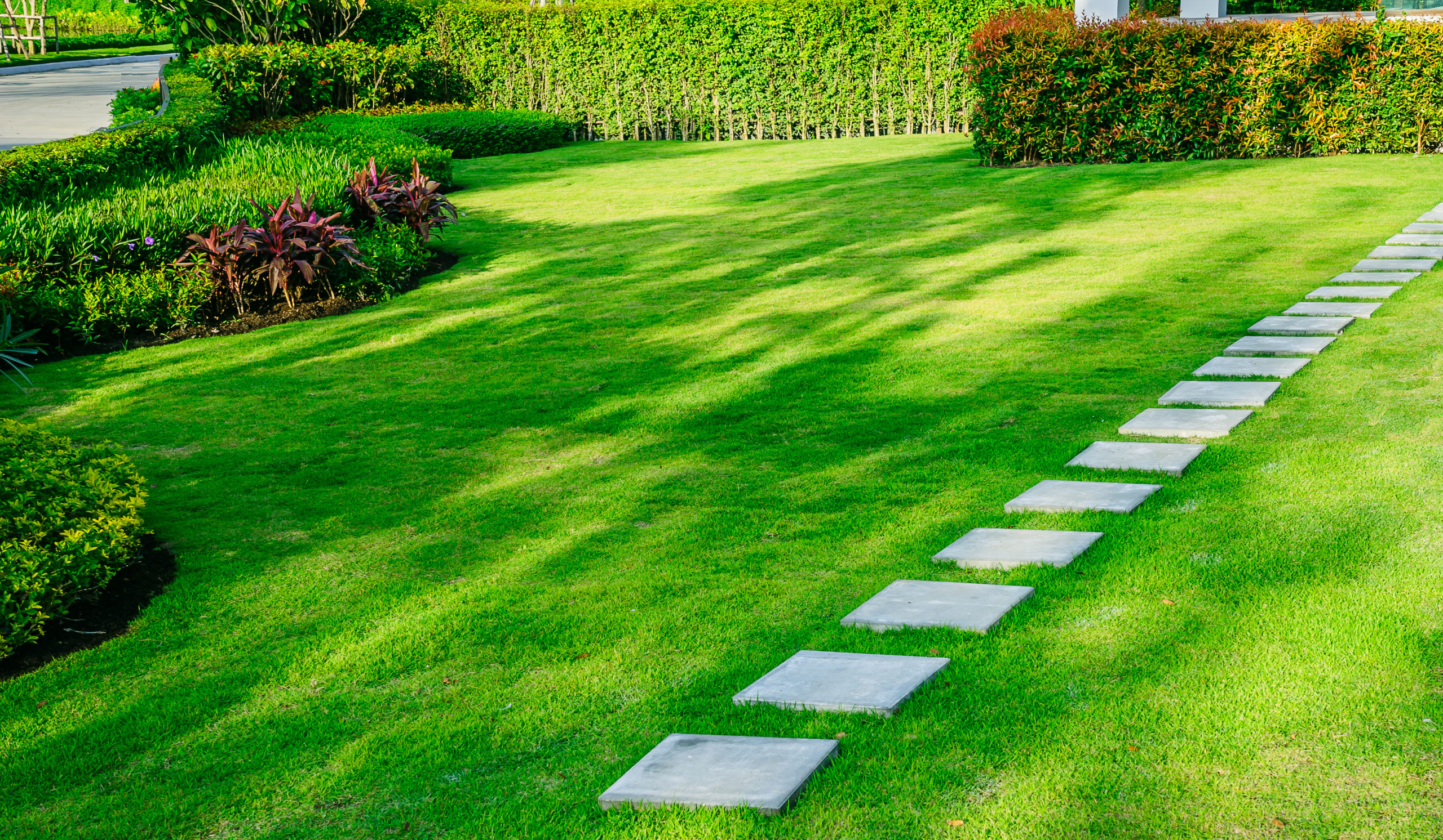 White,Walkway,Sheet,In,The,Garden,,Green,Grass,With,Cement